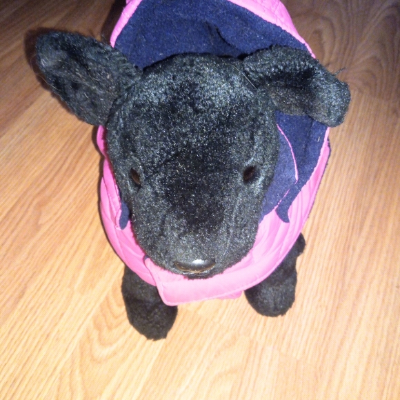 XS dog puffy hooded coat - Picture 1 of 5